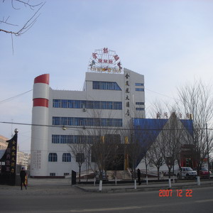 金凤凰酒店